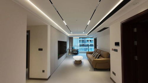 2025蝶舞裝飾怎么樣 蝶舞裝飾靠譜嗎